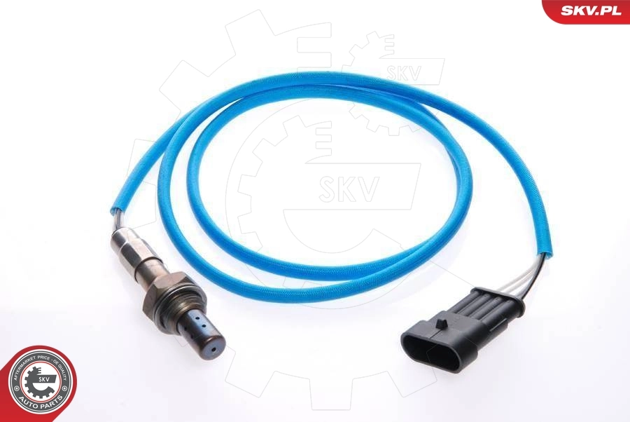 Oxygen Sensor